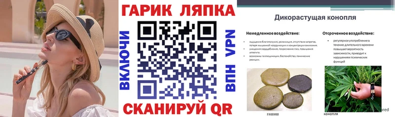 где найти   Ржев  ОМГ ОМГ ссылки  ГАШ убойный 
