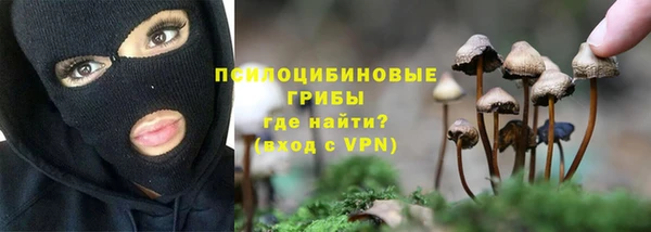 каннабис Арсеньев