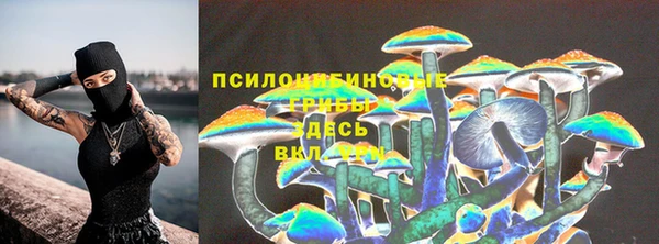 каннабис Арсеньев